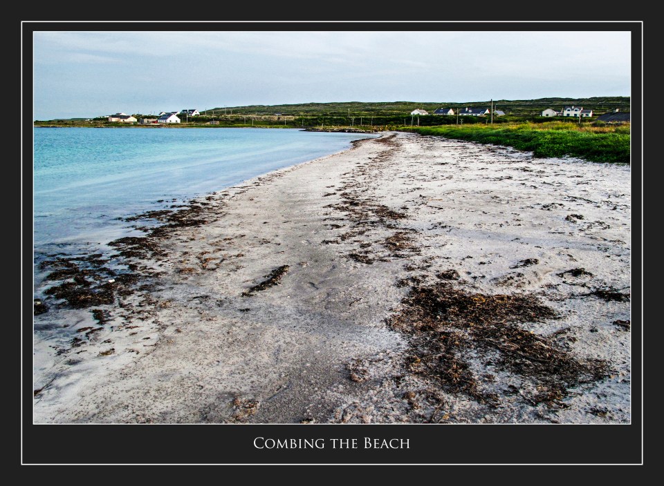 Combing the Beach