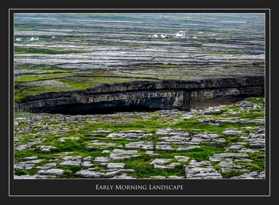 Early Morning Landscape