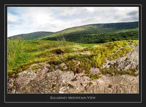 KillarneyMountainView